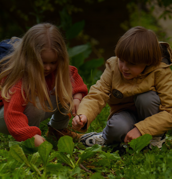 Eco-friendly schools: teaching sustainability by doing